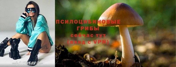 тгк Абинск