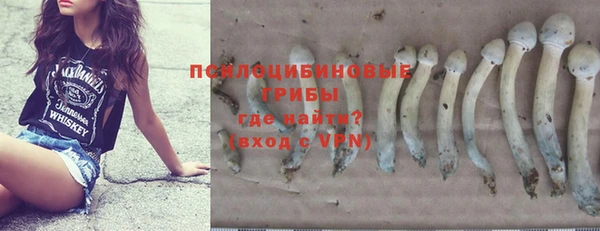 бошки Ростов